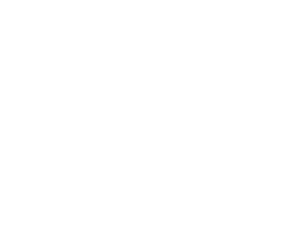 ichishina design gallery