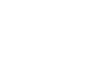 ichishina design products